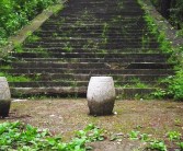 山頂柑橘種植技術_認養農業的模式有哪些