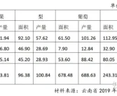 云南水果產業發展的十年變化！