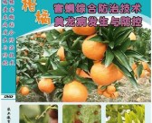 歐甘種植技術柑橘篇_庫蒂尼奧接近加盟切爾西