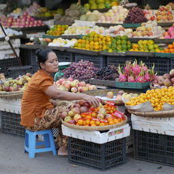 柑橘有哪些病害用什么藥（柑橘通常有哪些?。? /></p><p>據(jù)在四川觀察，3～5月，一般在柑橘開花前后大量發(fā)生，出現(xiàn)之一次螨口高峰；廣東地區(qū)，在立春后天氣轉(zhuǎn)暖時(shí)，越冬卵出現(xiàn)1～2個(gè)盛孵期。這時(shí)是防治次數(shù)最多的時(shí)期。9～11月秋梢抽發(fā)好的柑橘樹，還會(huì)發(fā)生第二次高峰。一般來(lái)說(shuō)，春季的高峰比秋季的高峰嚴(yán)重，秋梢受害嚴(yán)重時(shí)，冬季會(huì)出現(xiàn)大量落葉。</p><h2 id='柑橘常見病蟲害防治'>柑橘常見病蟲害防治</h2><p>蚜蟲：主要危害柑橘的嫩葉、嫩枝和花蕾等部位，導(dǎo)致葉片卷曲、枯萎、花朵凋謝等癥狀。防治 *** ：定期噴灑殺蟲劑；采用生物防治 *** ，如引入天敵昆蟲等。 紅蜘蛛：主要危害柑橘的葉片和果實(shí)，導(dǎo)致葉片變黃、脫落，果實(shí)變形、變色等癥狀。防治 *** ：定期噴灑殺蟲劑；采用生物防治 *** ，如引入天敵昆蟲等。</p><p style=