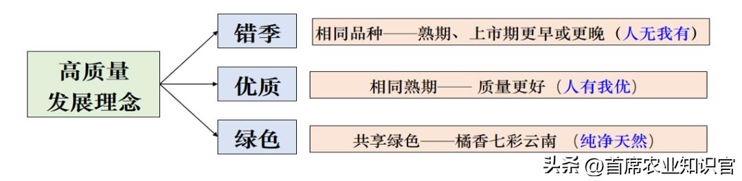 柑橘錯季新品種介紹_種植紅薯能夠套種些什么到達增收