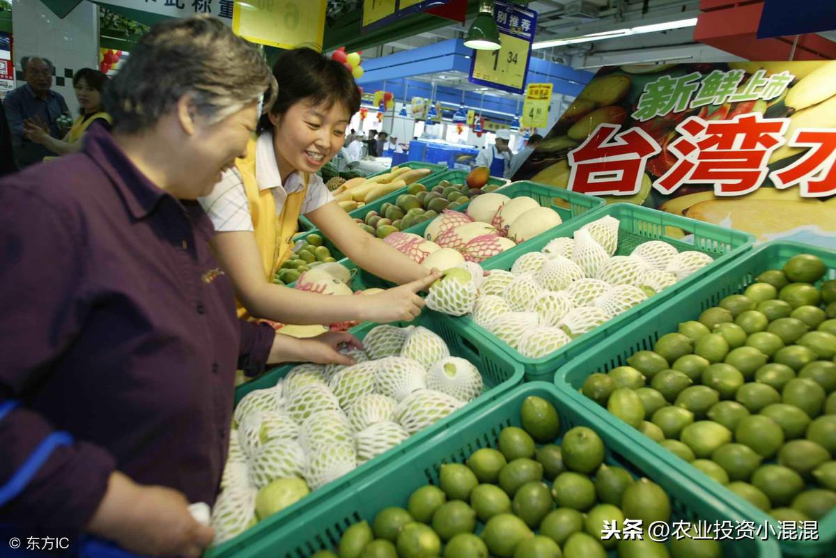 臺灣第一個雜交柑橘新品種_桔和柑的區別