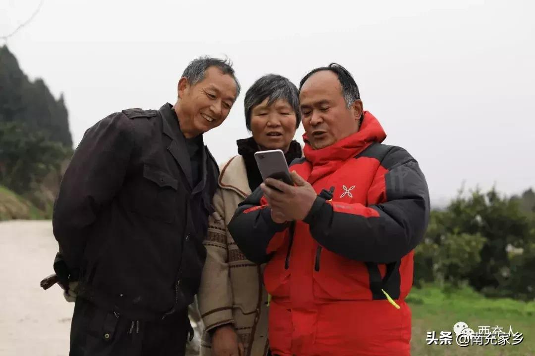 春見柑橘能夠冷藏嗎冬天會凍死嗎視頻_有沒有人能夠給點建議