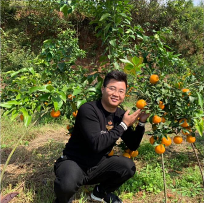 四川柑橘種植產區地圖圖片_現有120畝柑橘園要流轉