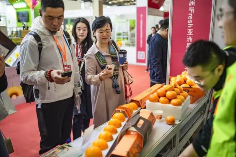 上海柑橘次要消費地_美年達飲猜中國產地