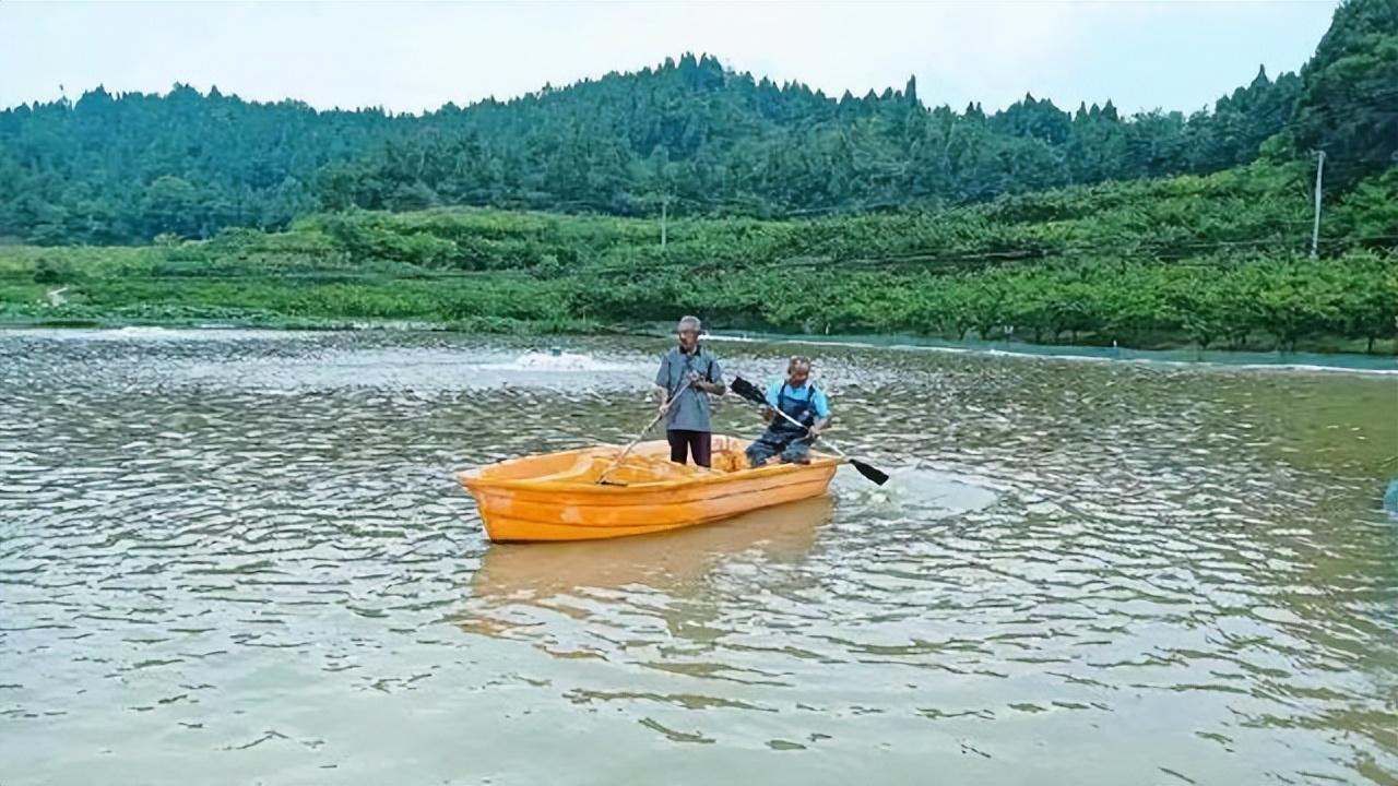 柑橘的新品種明日明月劍_有什么都雅的軍婚小說(shuō)