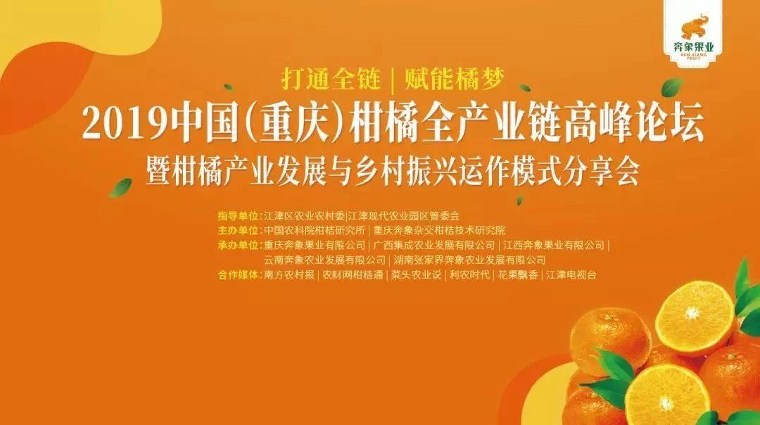 云南柑橘最新品種介紹_全國更大的沃柑產地