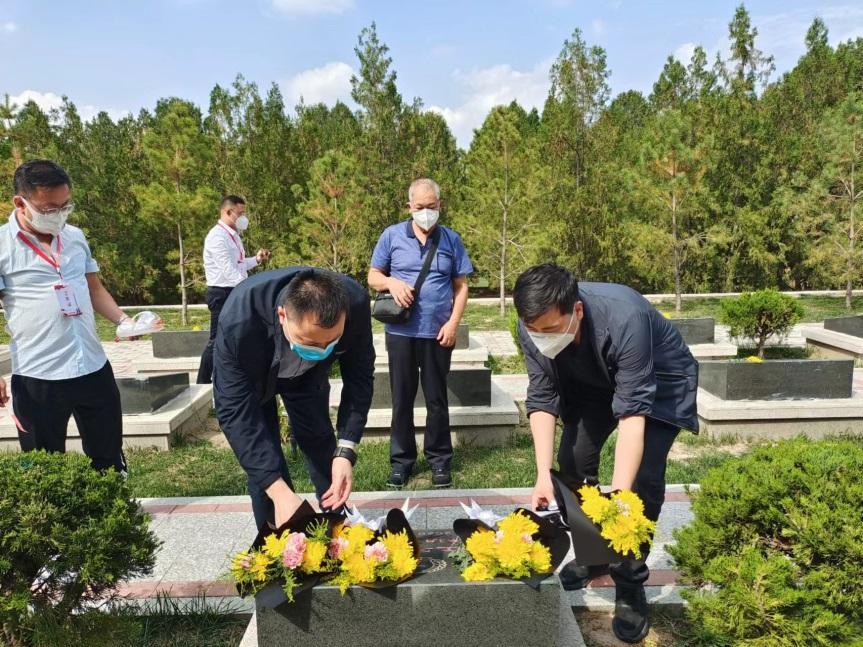 蘭州新品種柑橘樹苗批發_果樹施用茶麩花生麩